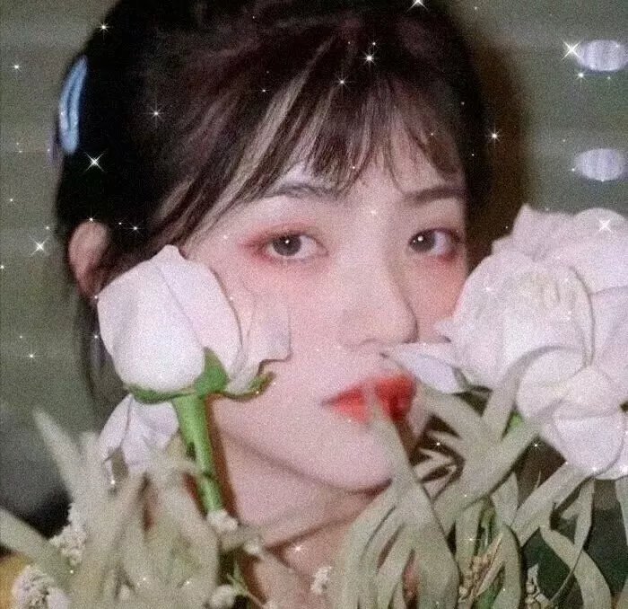伪装大师1：维多女人